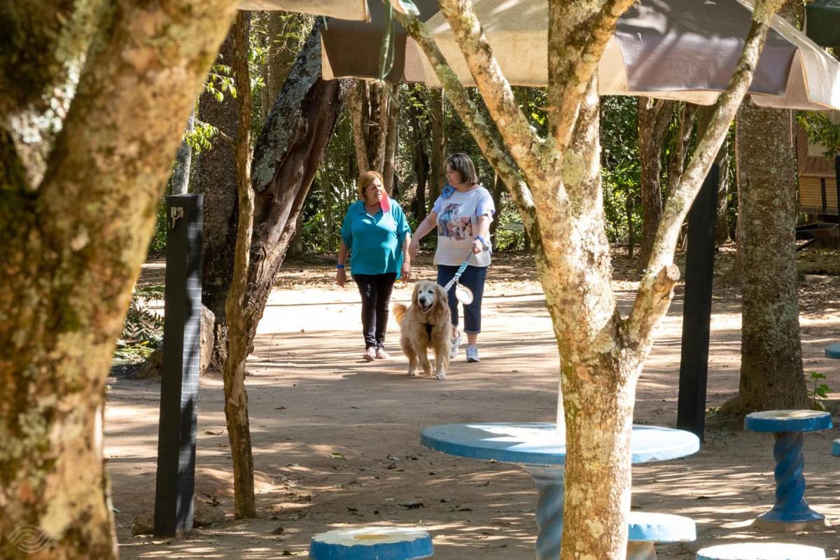 Hotel Fazenda Parque Dos Sonhos Socorro  Eksteriør bilde