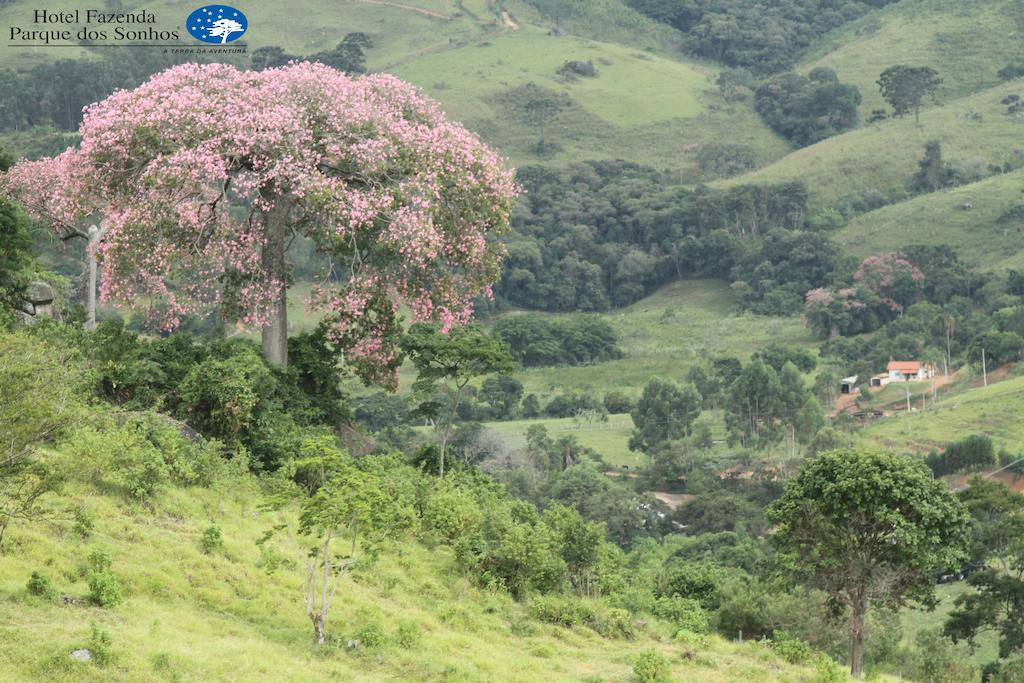 Hotel Fazenda Parque Dos Sonhos Socorro  Eksteriør bilde