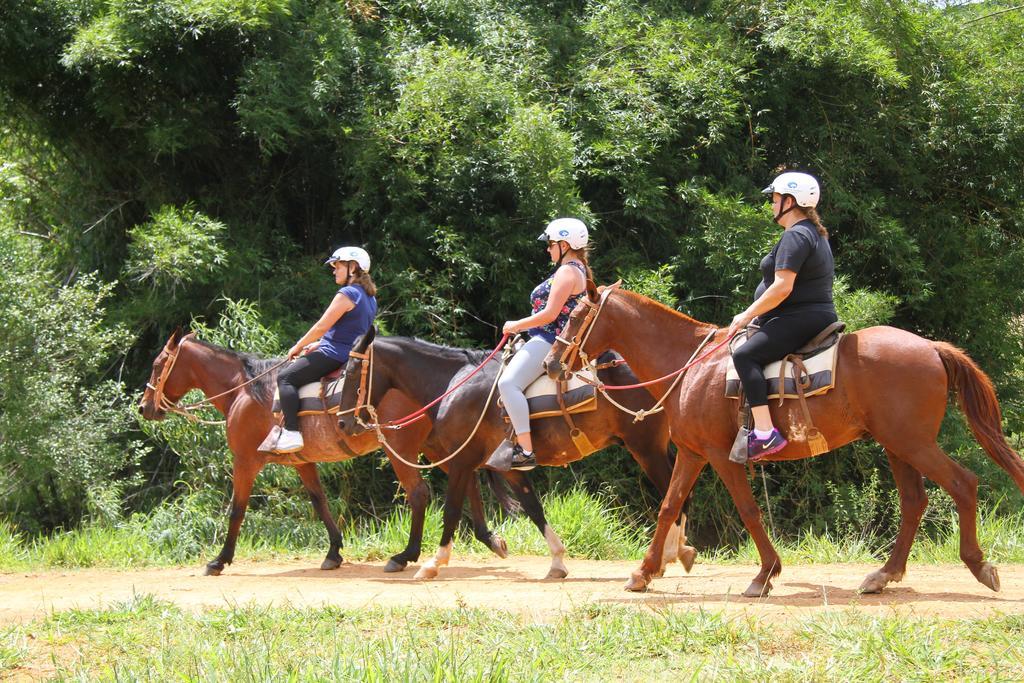 Hotel Fazenda Parque Dos Sonhos Socorro  Eksteriør bilde