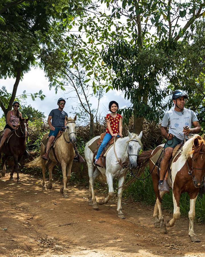 Hotel Fazenda Parque Dos Sonhos Socorro  Eksteriør bilde