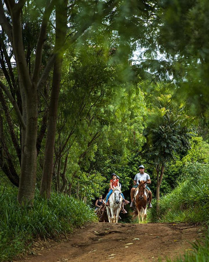 Hotel Fazenda Parque Dos Sonhos Socorro  Eksteriør bilde